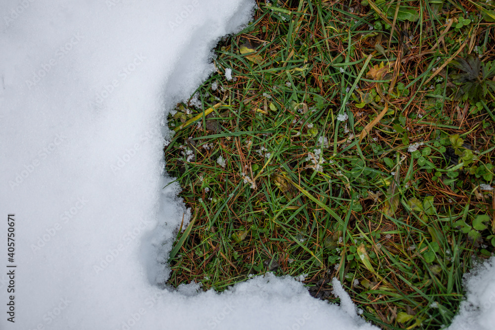 冬天的白雪绿草