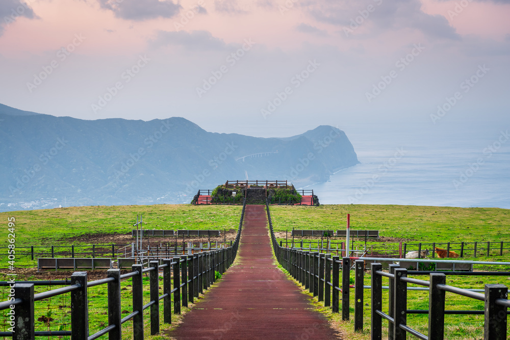 日本东京八岛