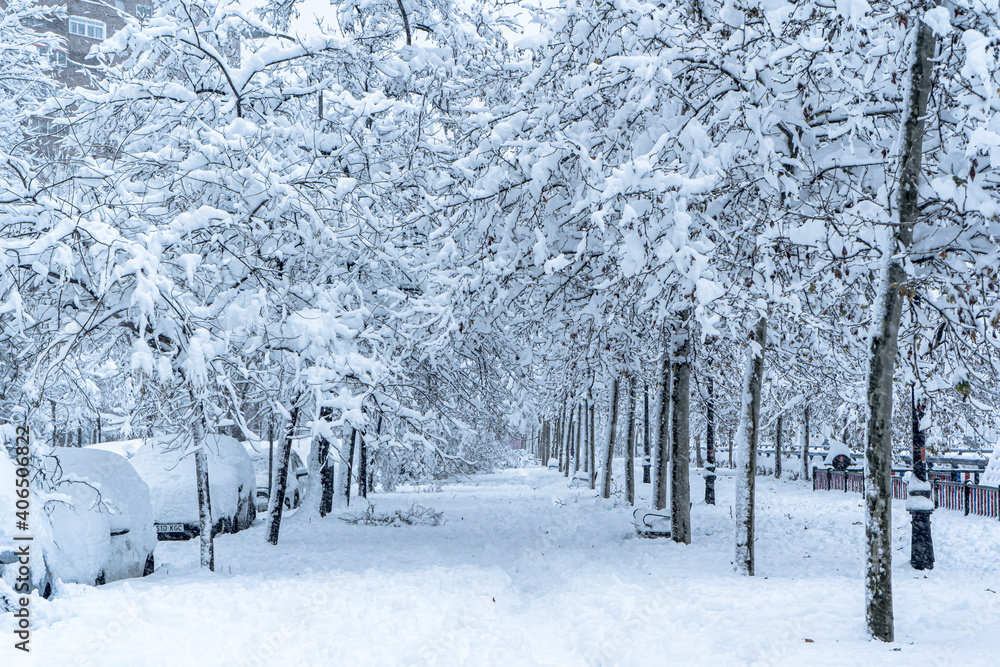 下雪早晨的小巷公园