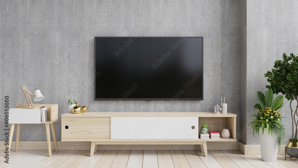 TV on the cabinet in modern living room with plant on Cement wall background.