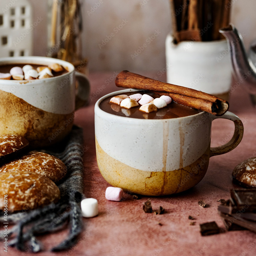 Hot chocolate with cinnamon sticks holiday food photography