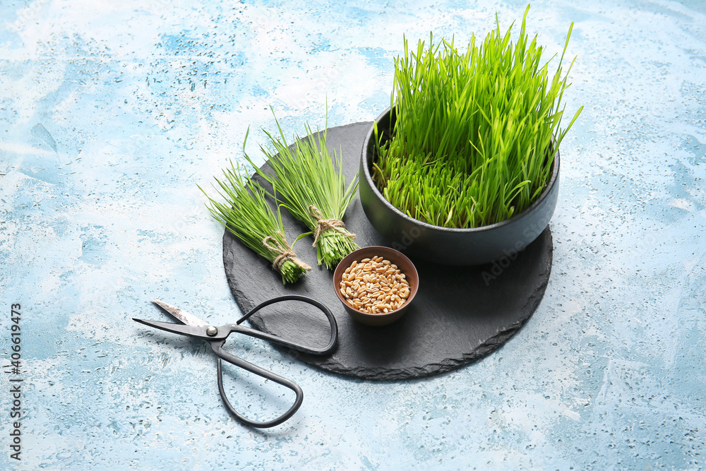 Fresh wheatgrass, seeds in bowl and scissors on color background