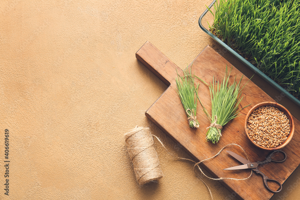 Fresh wheatgrass, seeds in bowl and twine on color background