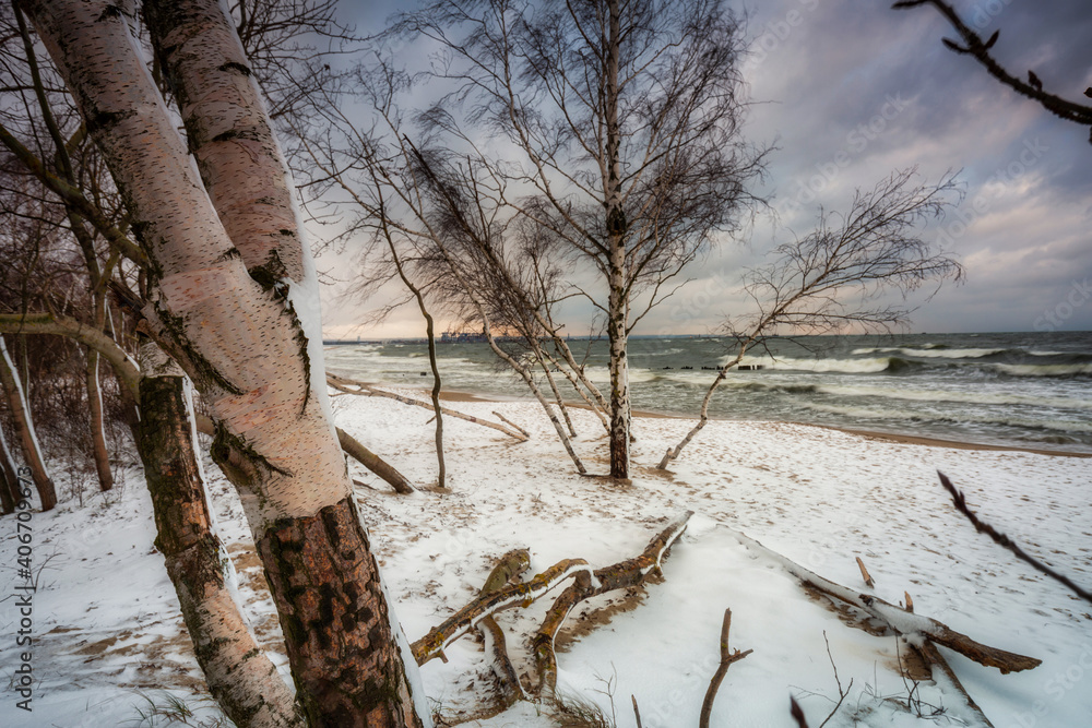 波兰格但斯克波罗的海被雪覆盖的海滩的冬季景观