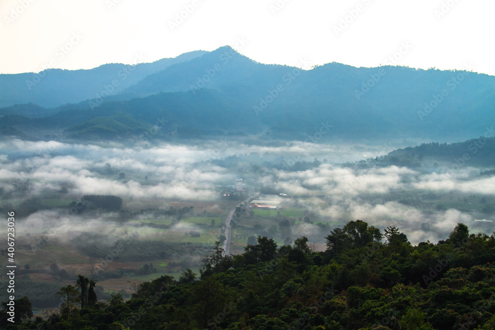 山中的雾早晨