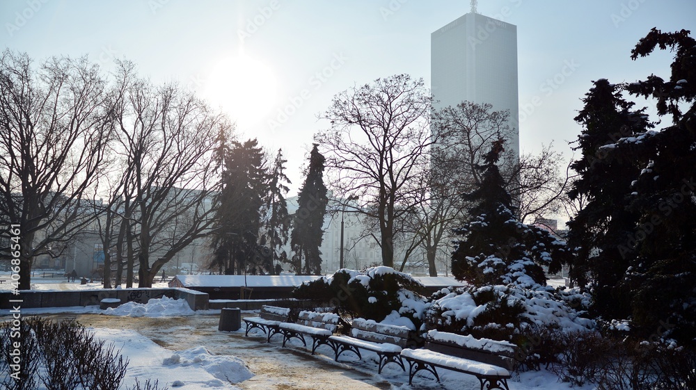 Winter in park in  city centre.