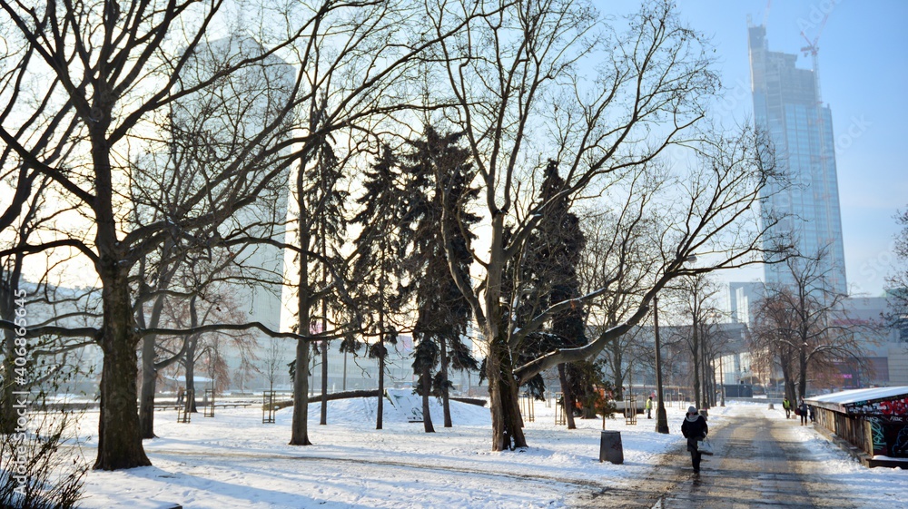 Winter in park in  city centre.