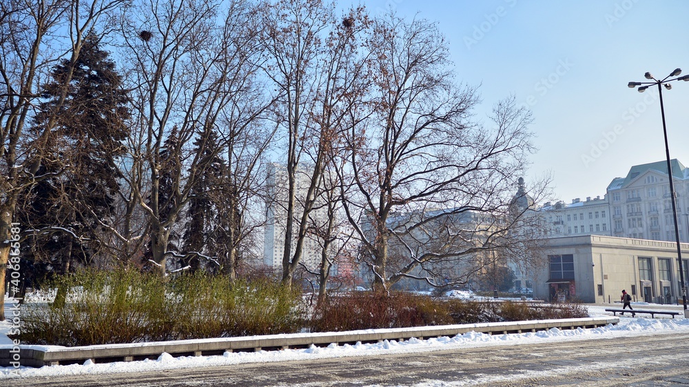 Winter in park in  city centre.