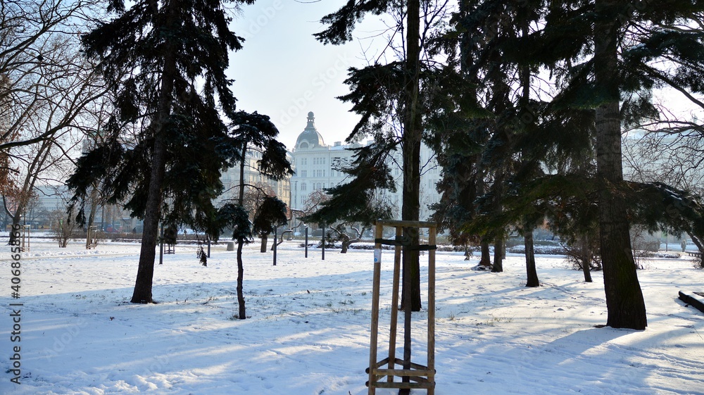 Winter in park in  city centre.