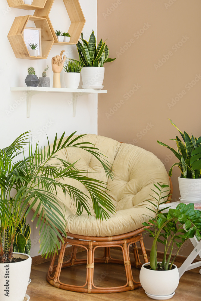 Armchair and houseplants in interior of room