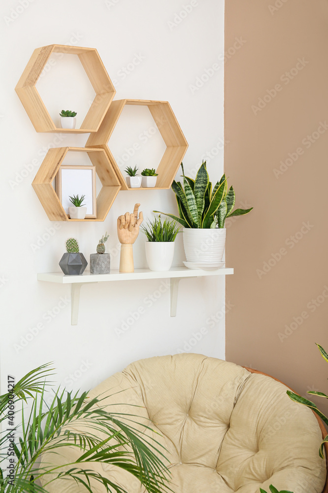 Armchair and houseplants in interior of room