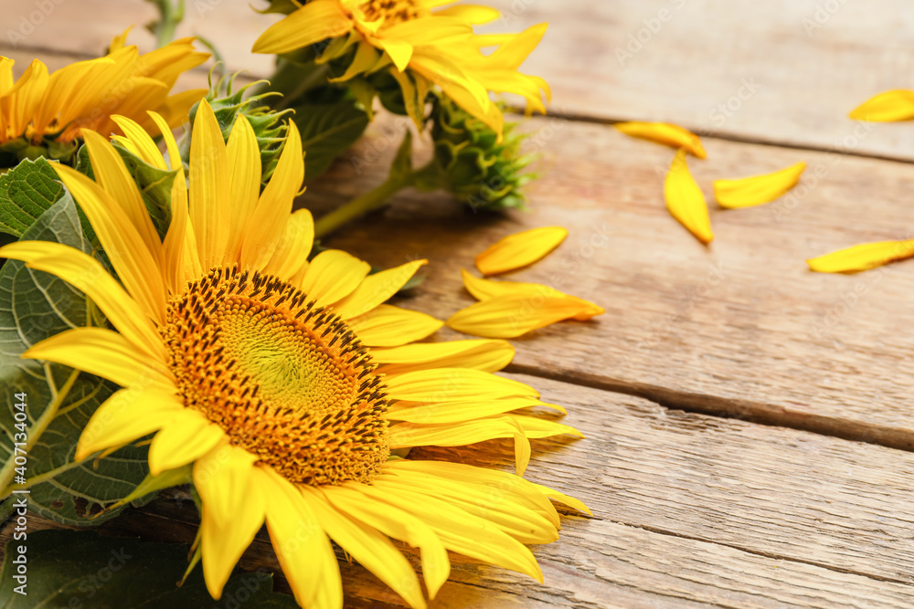 Beautiful sunflowers on wooden background