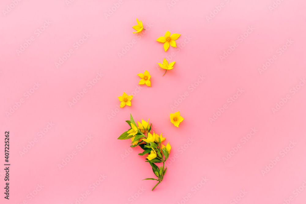 Pattern of yellow flower buds, overhead view