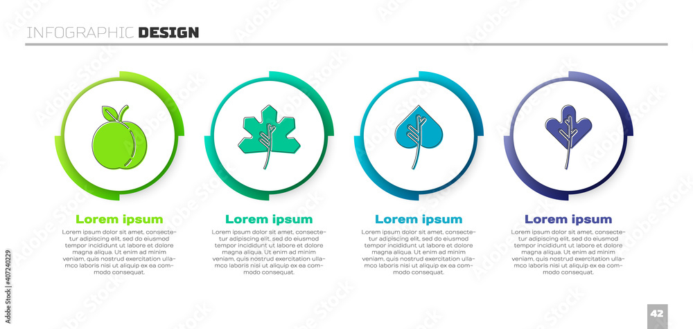 设置桃果实、叶子或叶子、叶子或树叶和叶子或叶子。商业信息图模板.V
