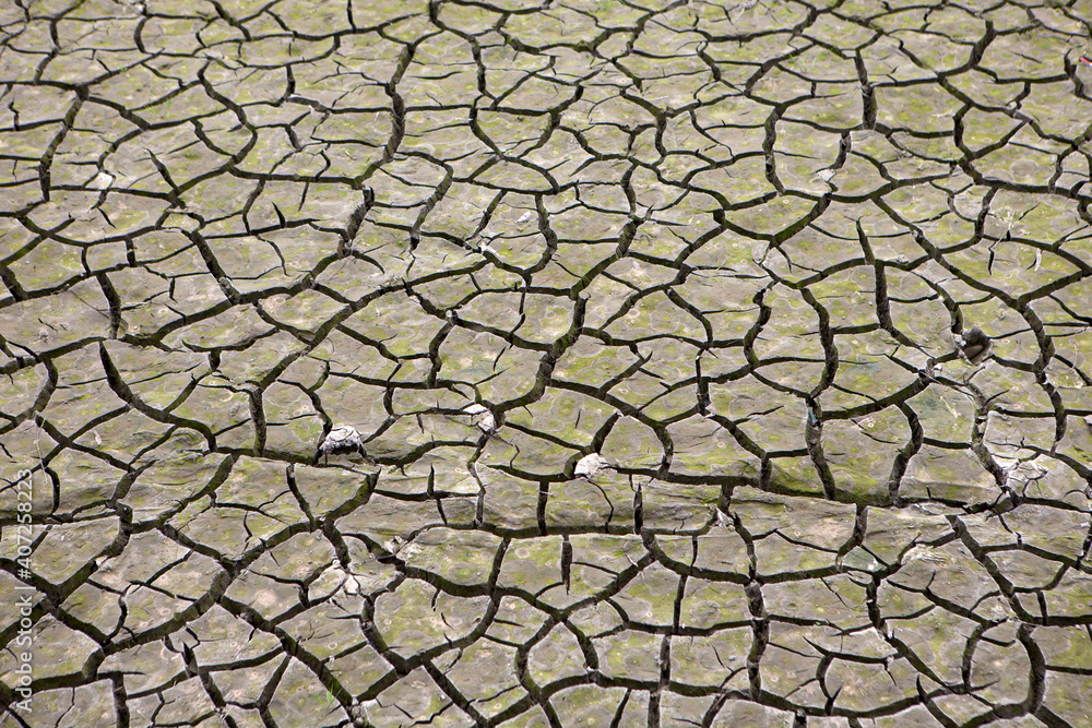 Dry cracked farm,close-up