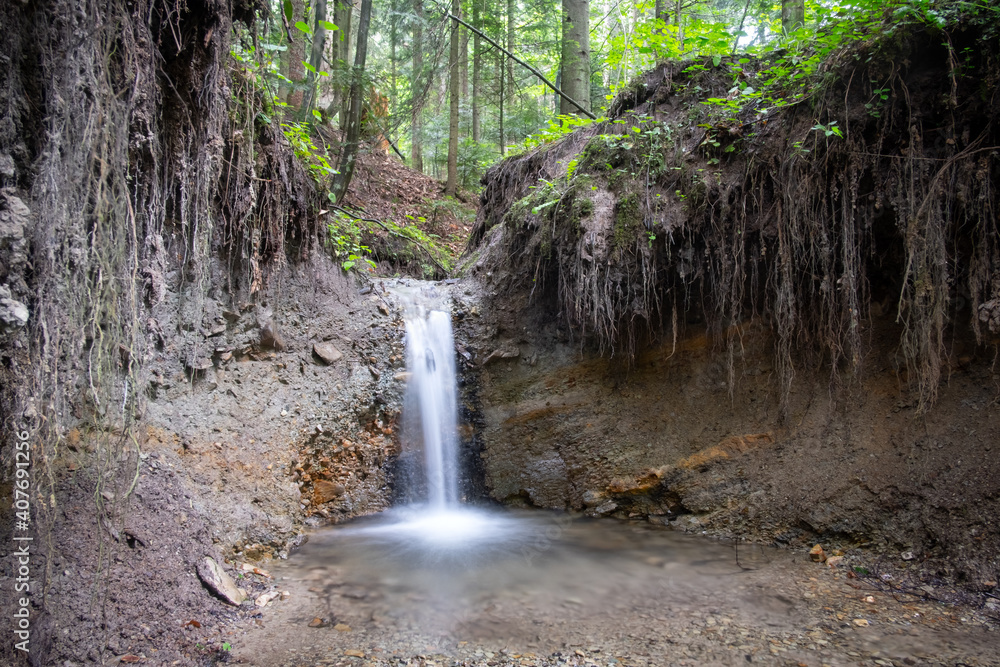 Clear mountain stream in the lush forest. Wilderness scene with pure water and trees roots. Nature b