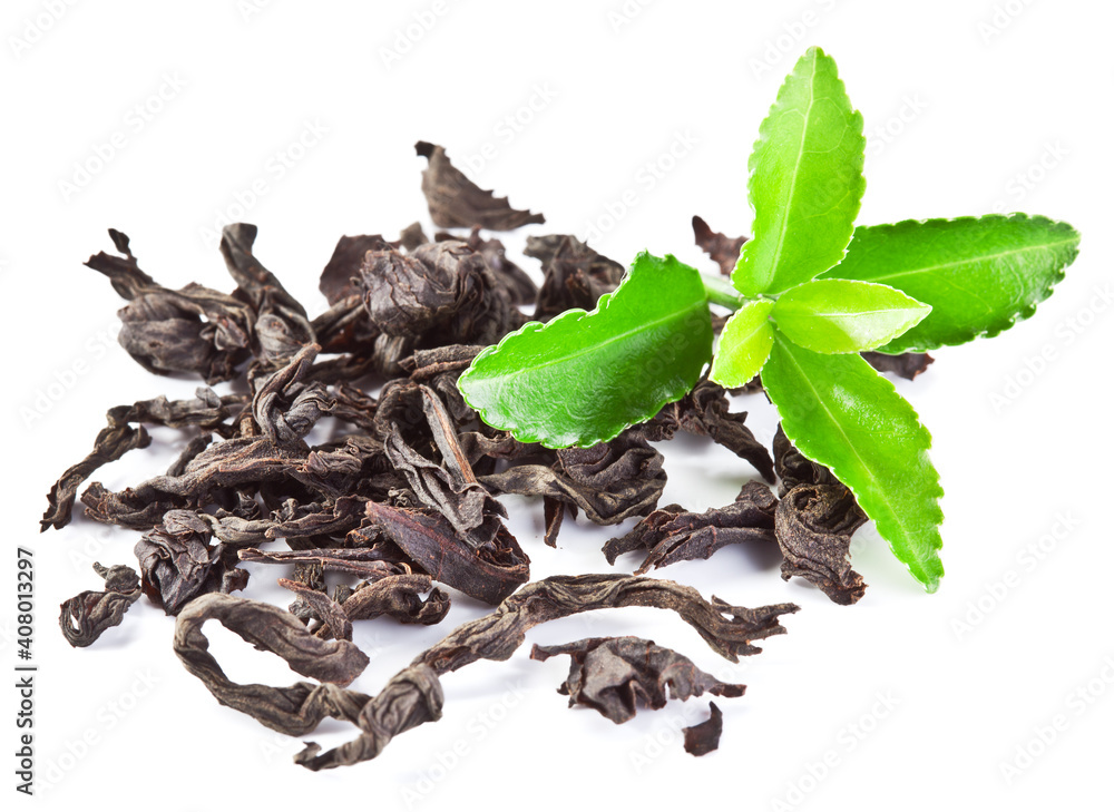 Dried tea leaves with fresh green tea leaves isolated on a white background.