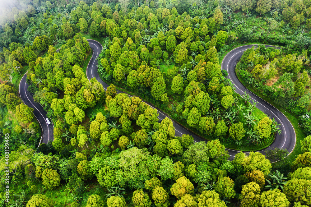 森林中道路的鸟瞰图。穿过森林的高速公路。无人机拍摄。自然景观