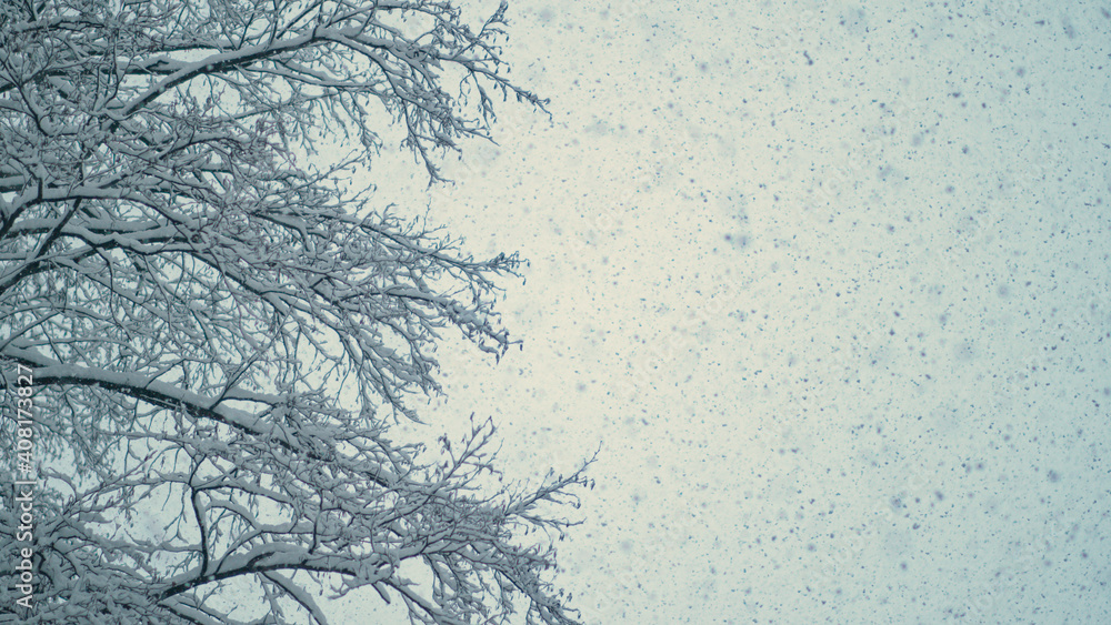 底部向上，自由度：无数的小雪花从多云的冬季天空中飘落。