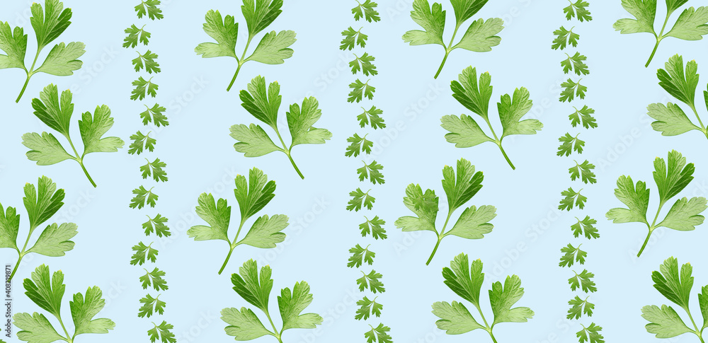 Fresh parsley on light color background