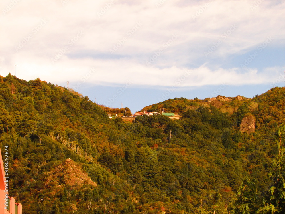 山中风景