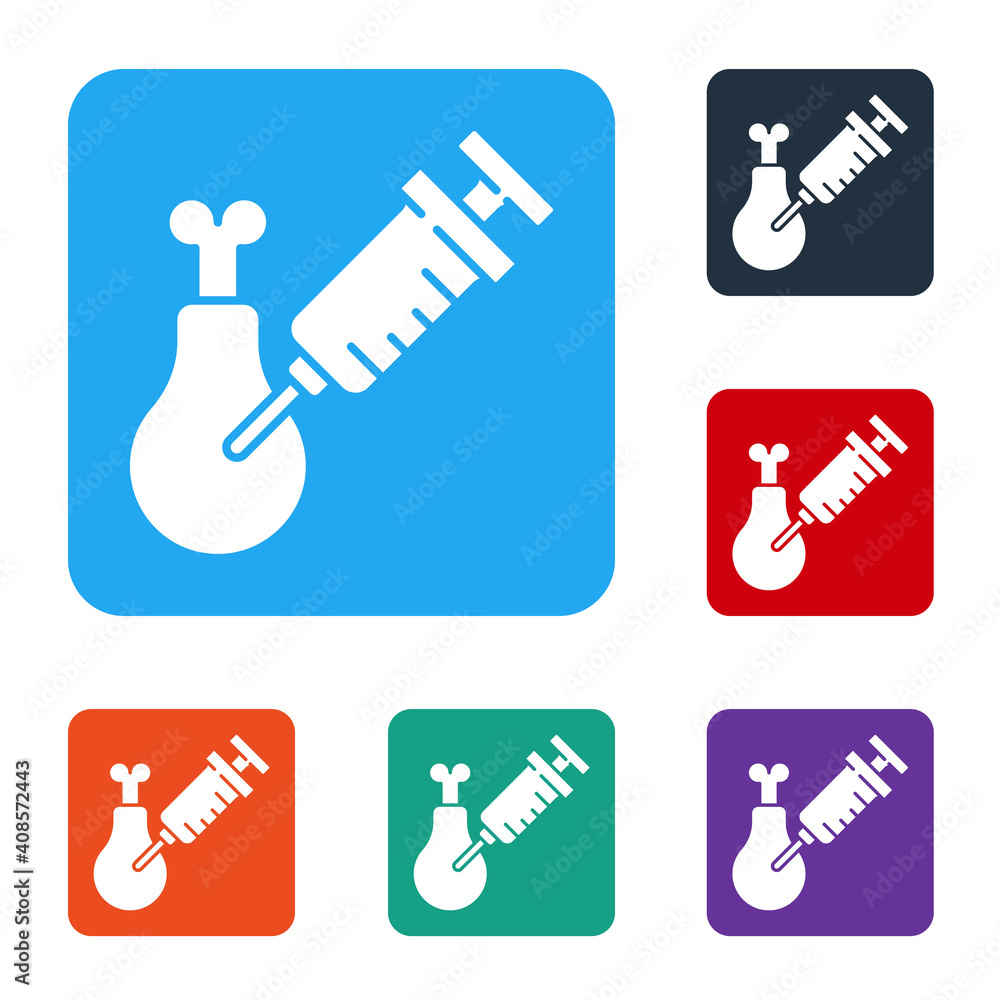 白色Gmo研究鸡图标被隔离在白色背景上。注射器被注射到鸡身上。设置