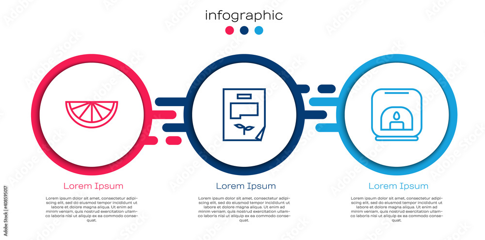 设置行柑橘类水果，叶子文档和芳香灯。商业信息图模板。矢量。