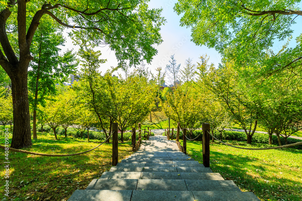 夏季美丽的城市公园。