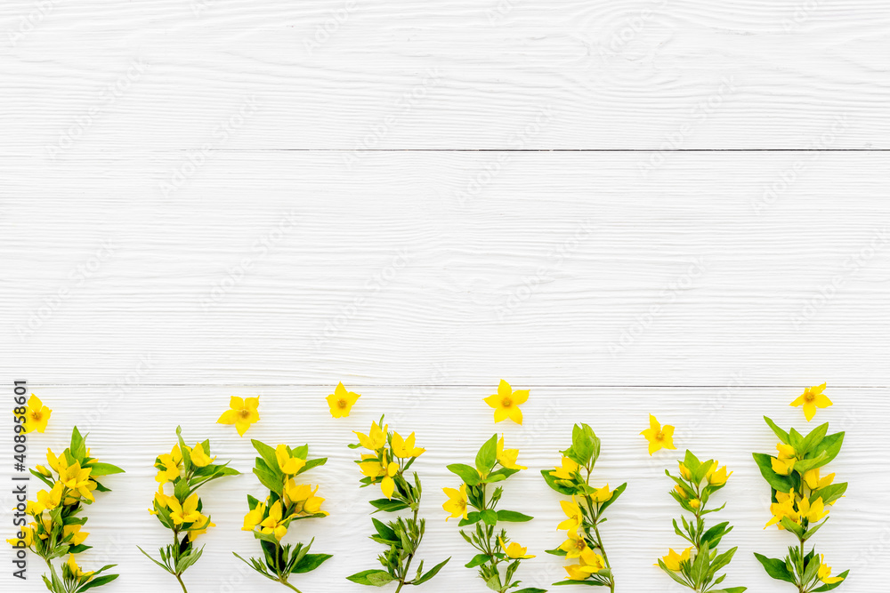 野生春季雅洛花的花朵组成，俯视图