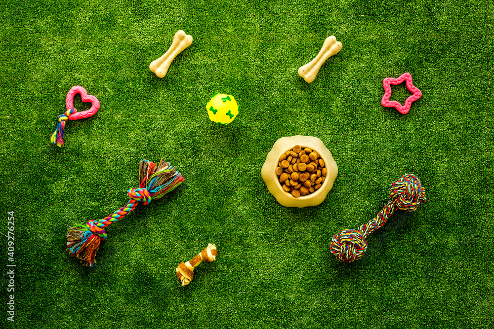 Pet supplies on backyard grass, toys and food for cats and dogs, top view