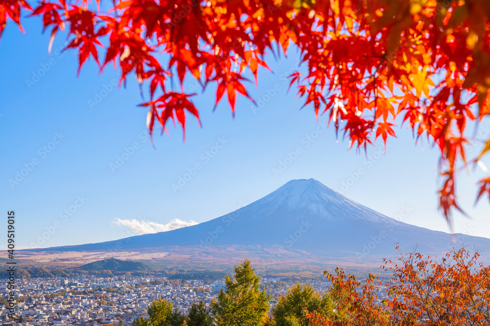 日本山梨县富士吉田市的富士山和秋叶景观