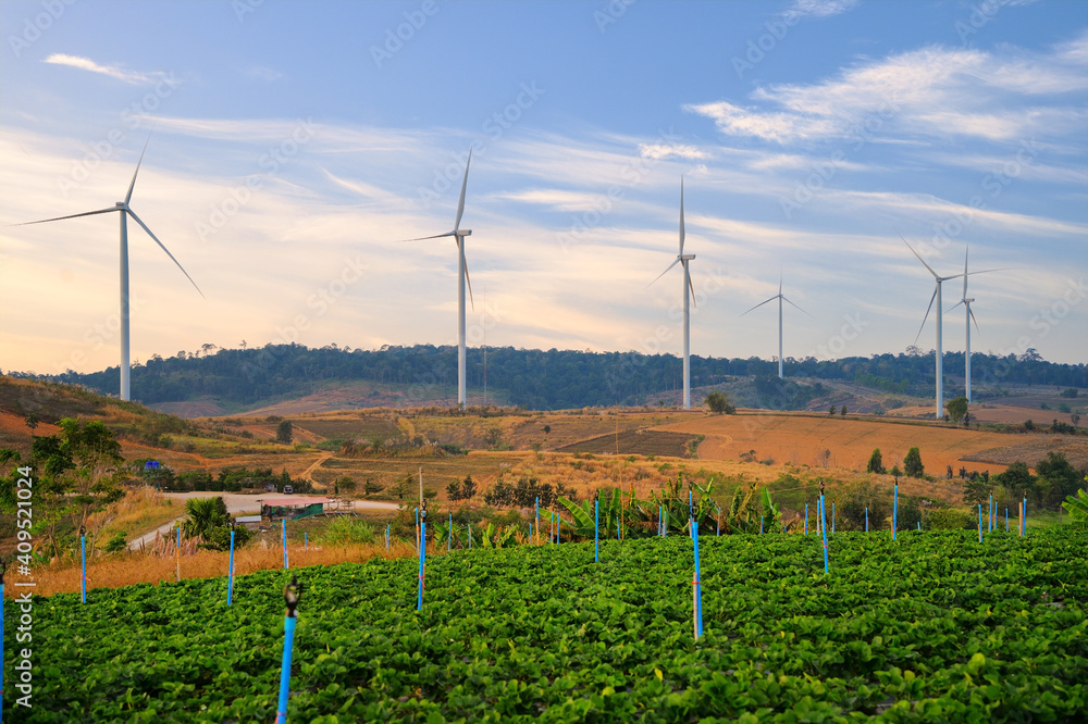 Windmill farm for electricity production. Wind power turbines generating clean renewable energy for 