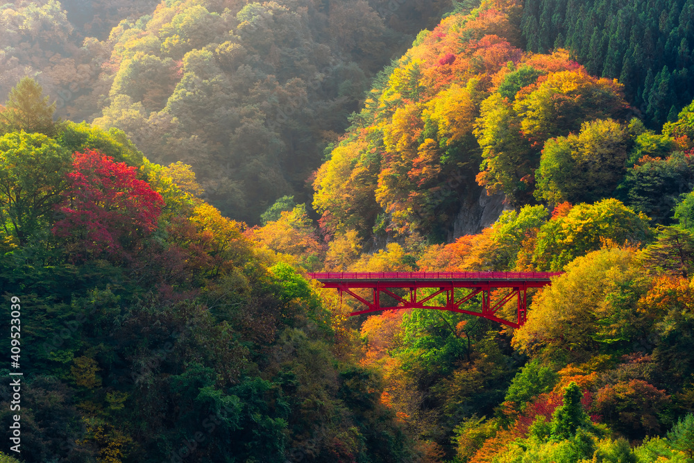 日本长野高村美丽的秋景山和山谷上的红桥