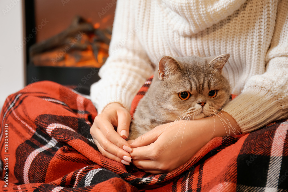 主人家里有一只可爱的猫。供暖季节的概念