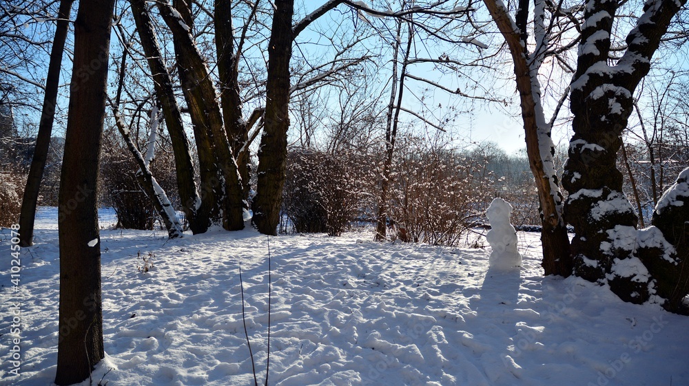 snow covered trees in the park