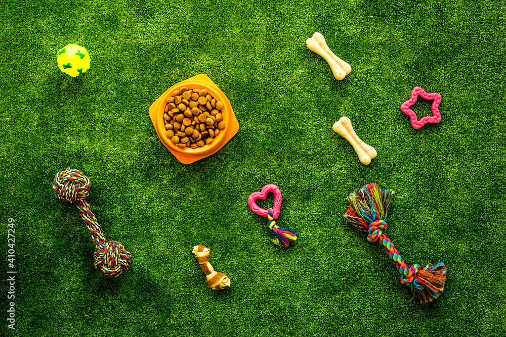 Pet supplies on backyard grass, toys and food for cats and dogs, top view