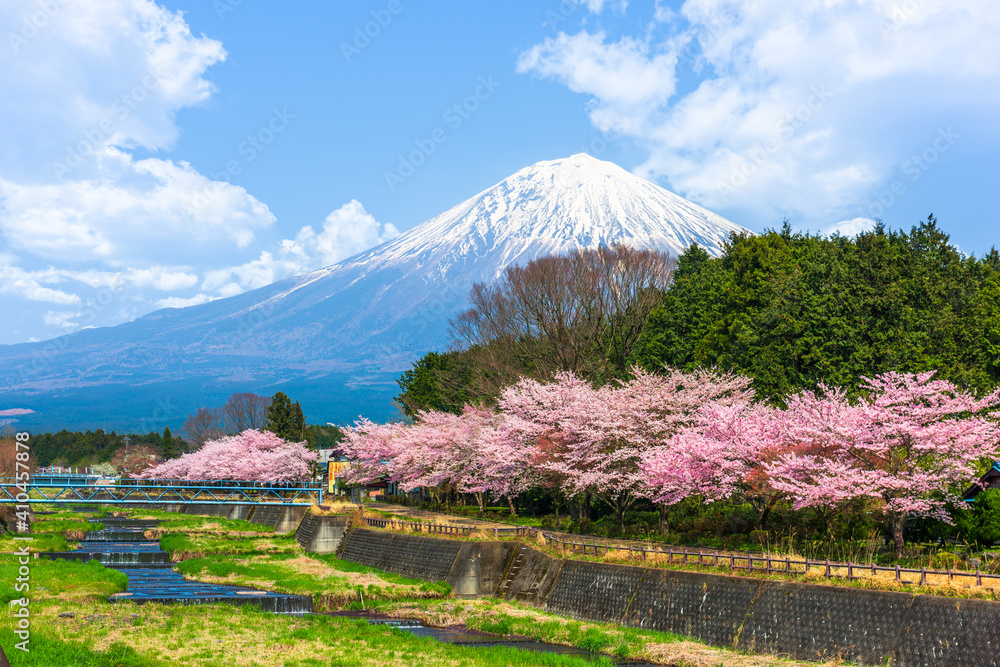 春天从静冈县农村看富士山