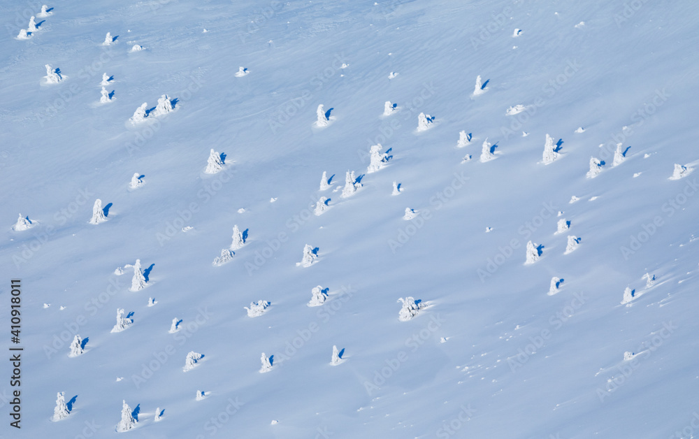 山坡上的雪和树梢。