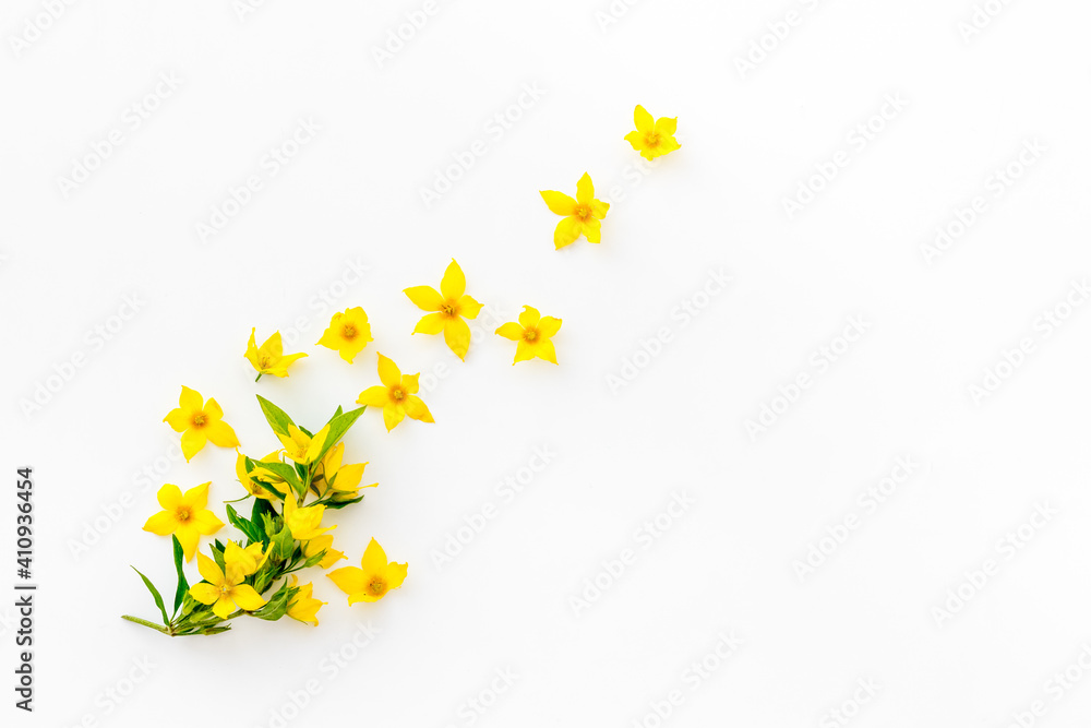 Flowers pattern. Flat lay of yellow flowers with leaves, top view