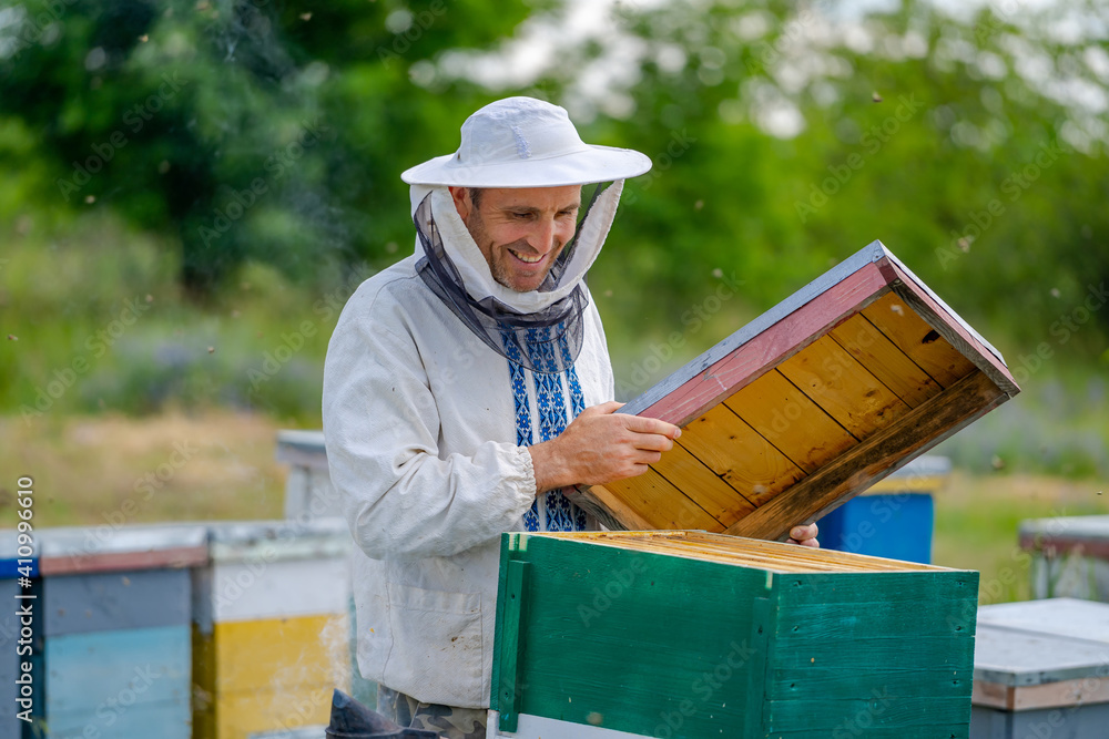 Male beekeeper over hives background. Man builds new hive Protective hat on a male`s head. Blurred b