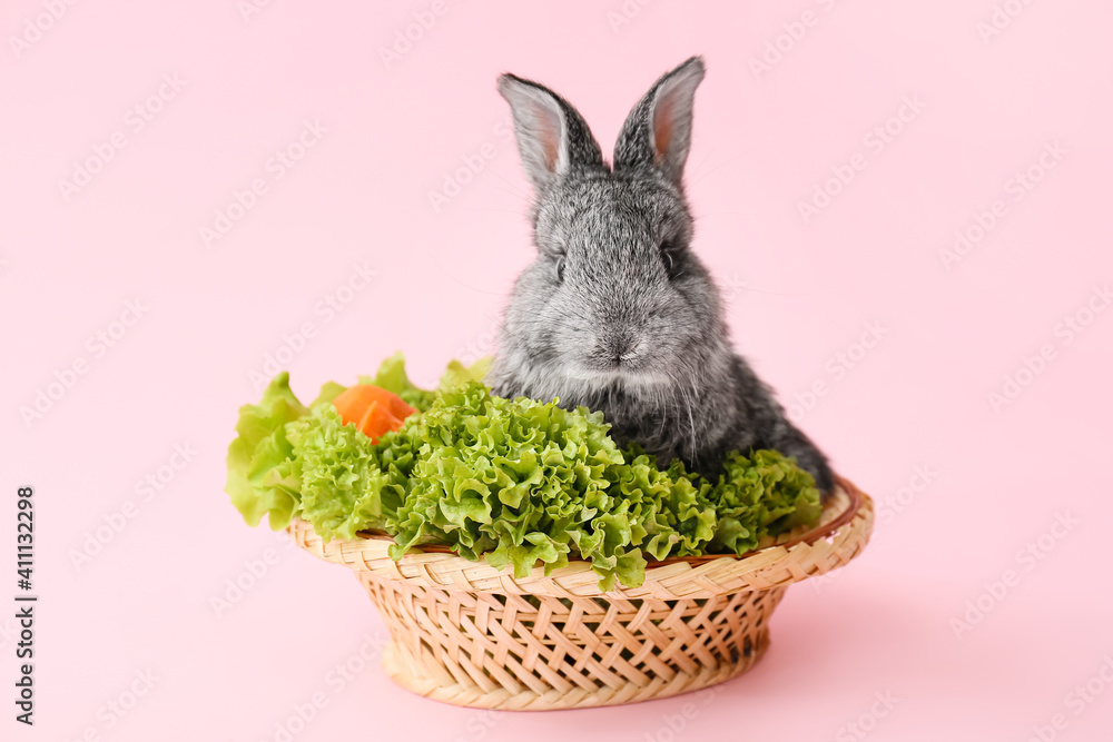 Cute fluffy rabbit and vegetables in wicker bowl on color background