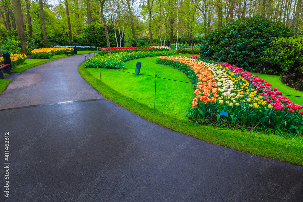 Blooming tulips and colorful spring flowers in the beautiful park