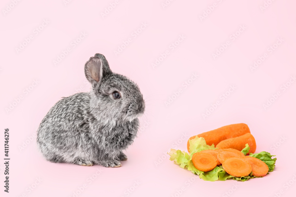 Cute fluffy rabbit and vegetables on color background