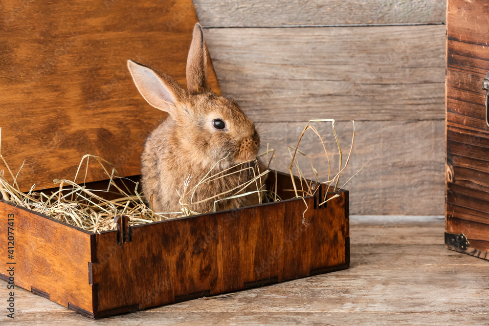 Cute fluffy rabbit sitting in box on wooden background