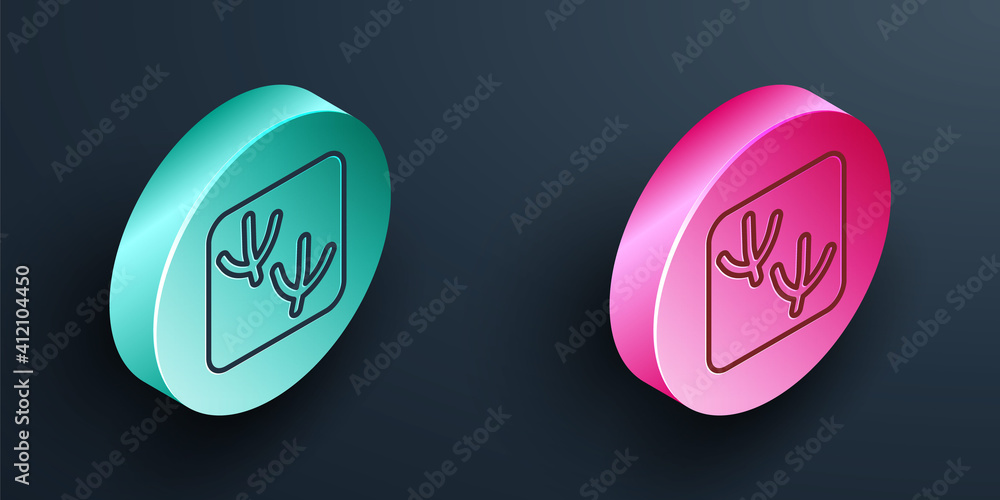 Isometric line Dove paw footprint icon isolated on black background. Turquoise and pink circle butto