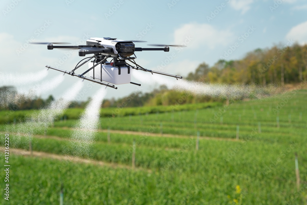 Drone spraying pesticide on wheat field.