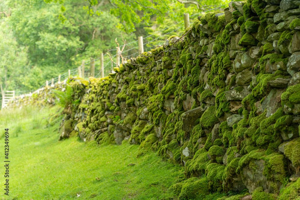 stone wall with moss