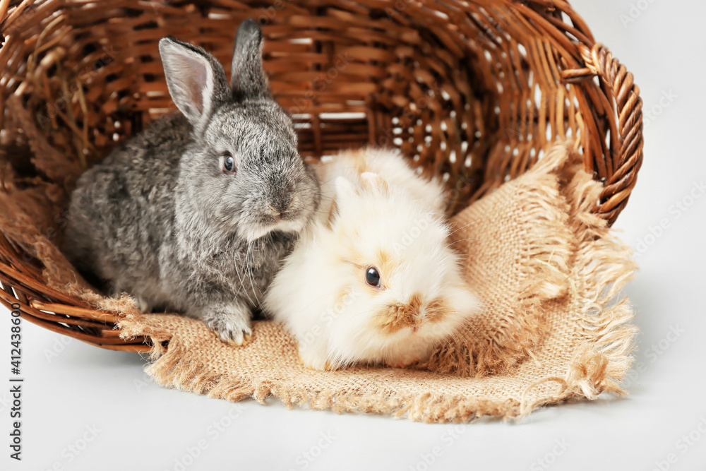 Basket with cute funny rabbits on light background