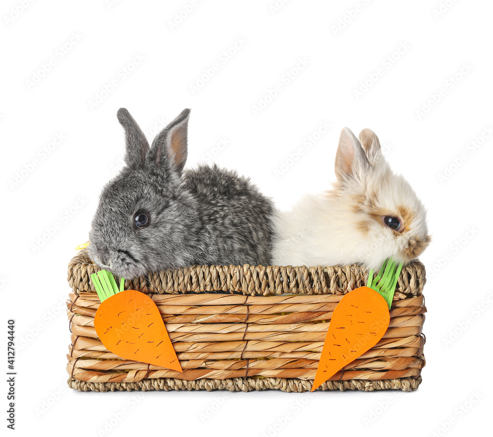 Cute funny rabbits in wicker box on white background