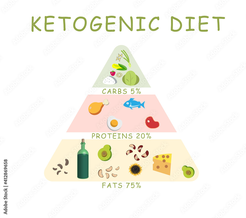 白色背景上的食物金字塔，插图。生酮饮食